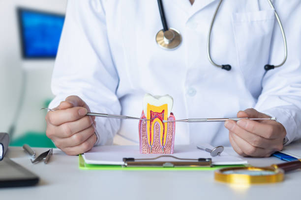 Best Emergency Tooth Extraction in Mion, AR